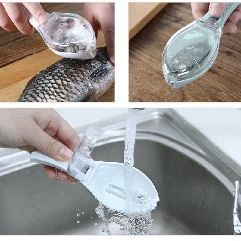 Balık Terazisi Rendeler Kazıyı - Fishing Equipment Kitchener incelemesi ve fiyatı