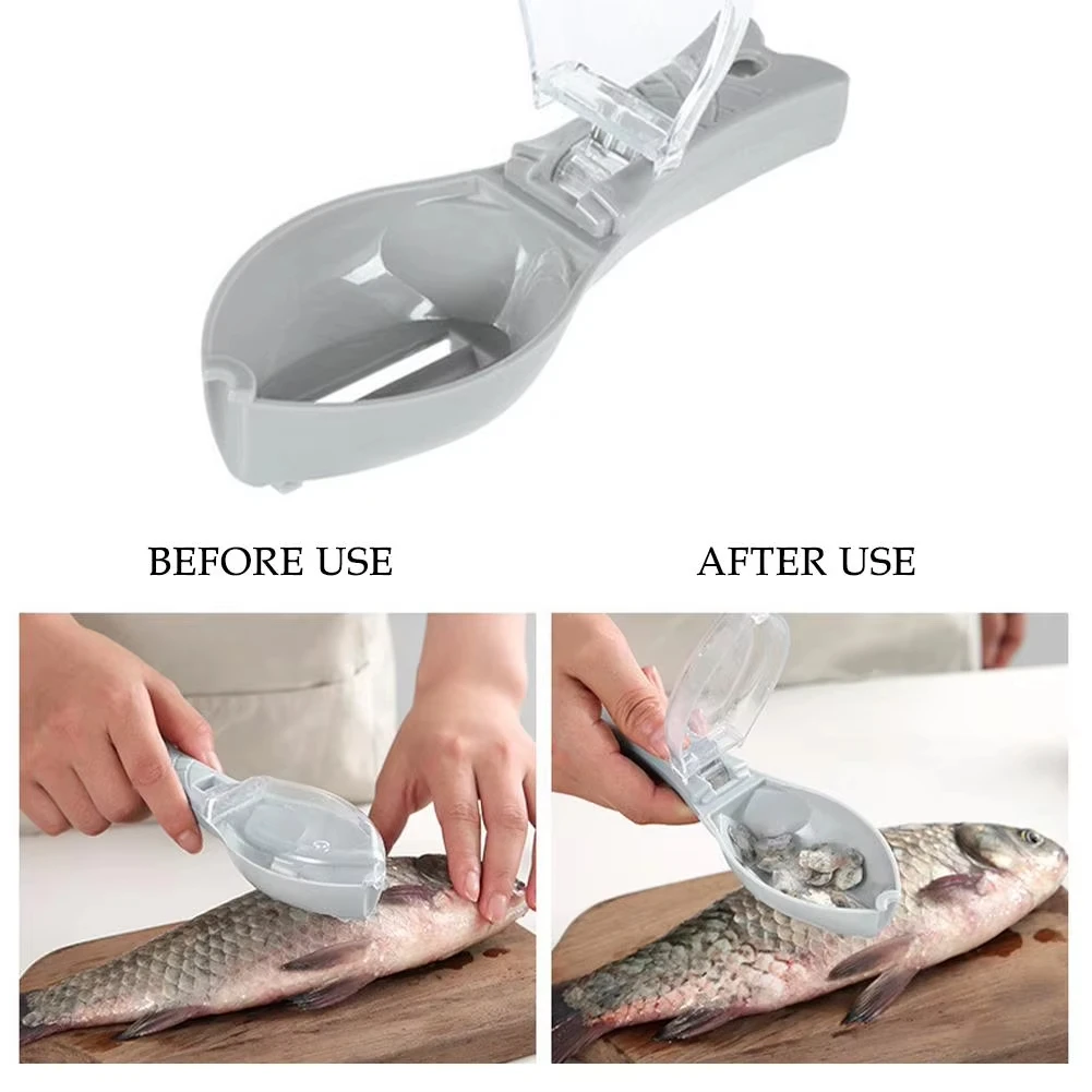 Balık Terazisi Rendeler Kazıyı - Fishing Equipment Kitchener incelemesi ve fiyatı
