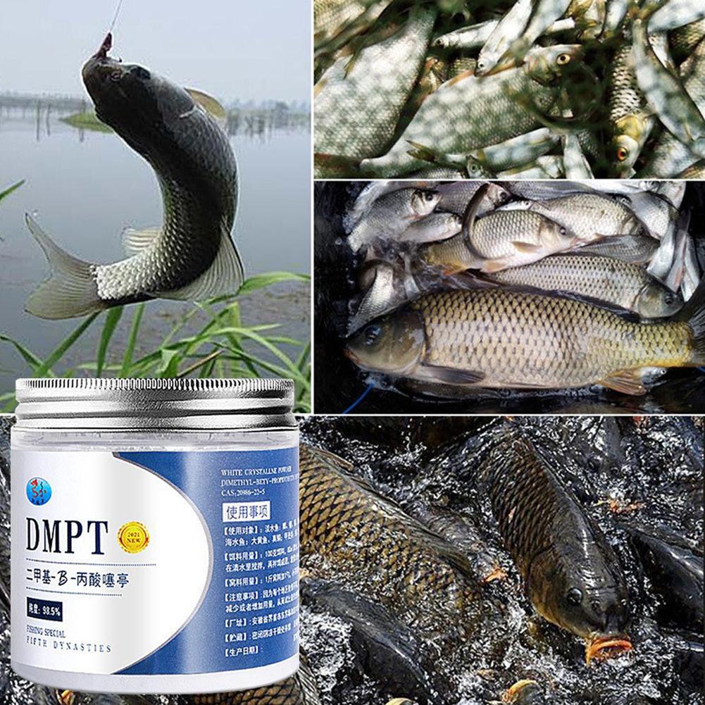 50g gerçek DMPT yüksek saflıkt - Fishing Equipment For Sale incelemesi ve fiyatı