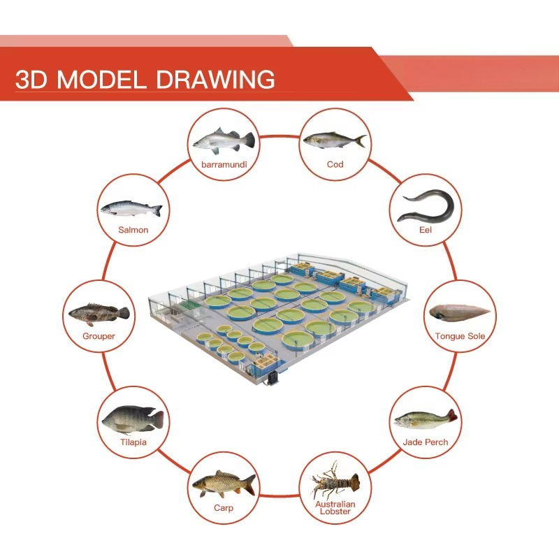 Balıkçılık ekipmanları makinel - Fishing Equipment For Sale incelemesi ve fiyatı